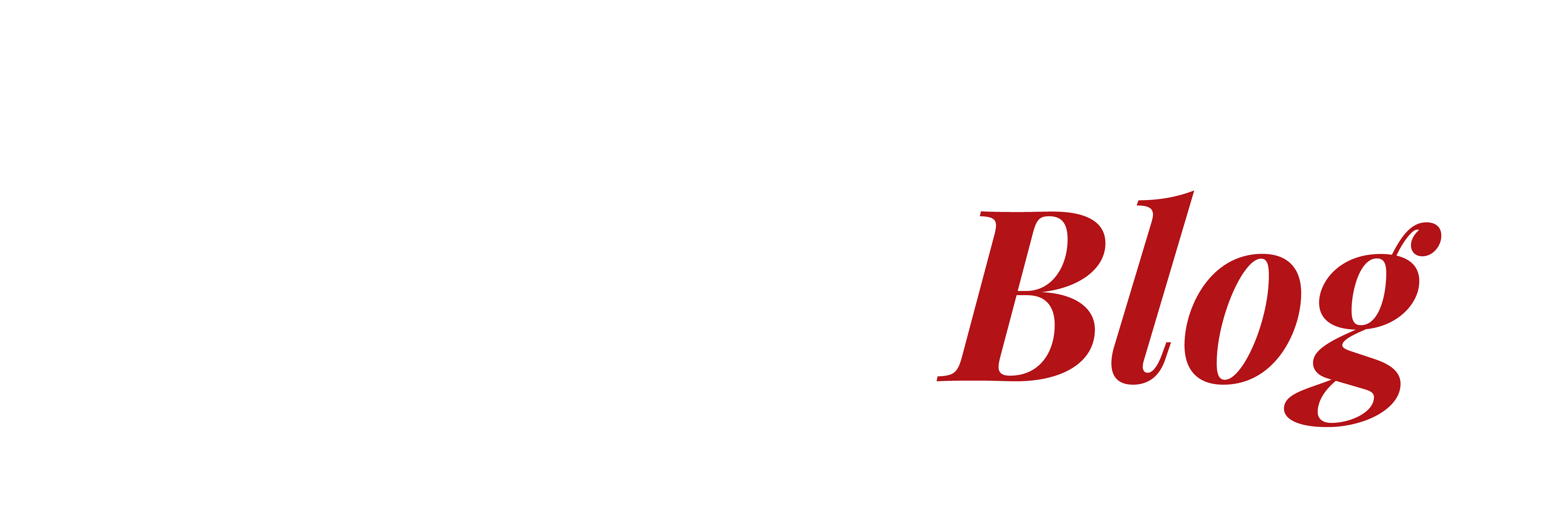 logo domi.com blog